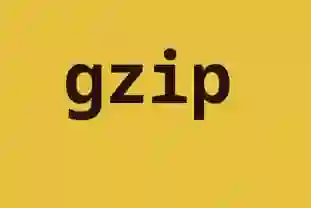 Gzip nedir?